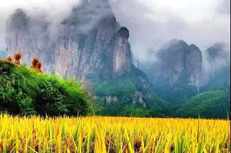 想祛痘除了涂药膏还有啥办法？游戏画面